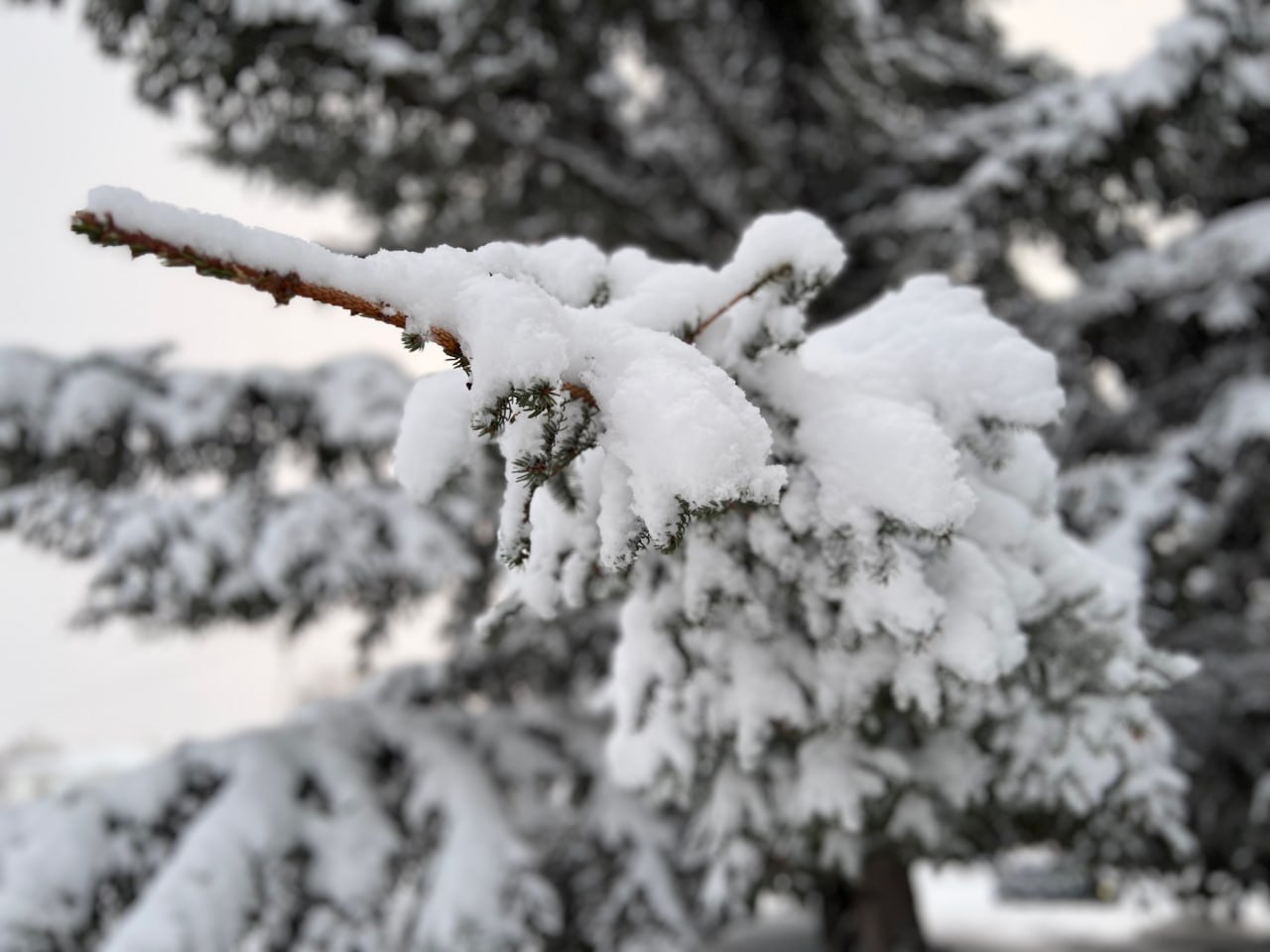 Управление ГО, ЧС и ЕДДС Белогорска сообщает