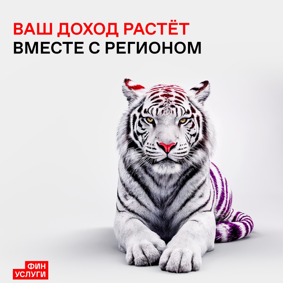 Жители Белогорска могут приобрести народные облигации Амурской области