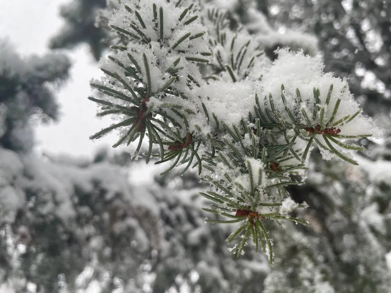 Управление ГО, ЧС и ЕДДС сообщает
